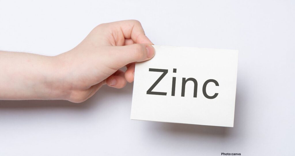 Exploring the Role of Fruits in Zinc Intake for Nutrition