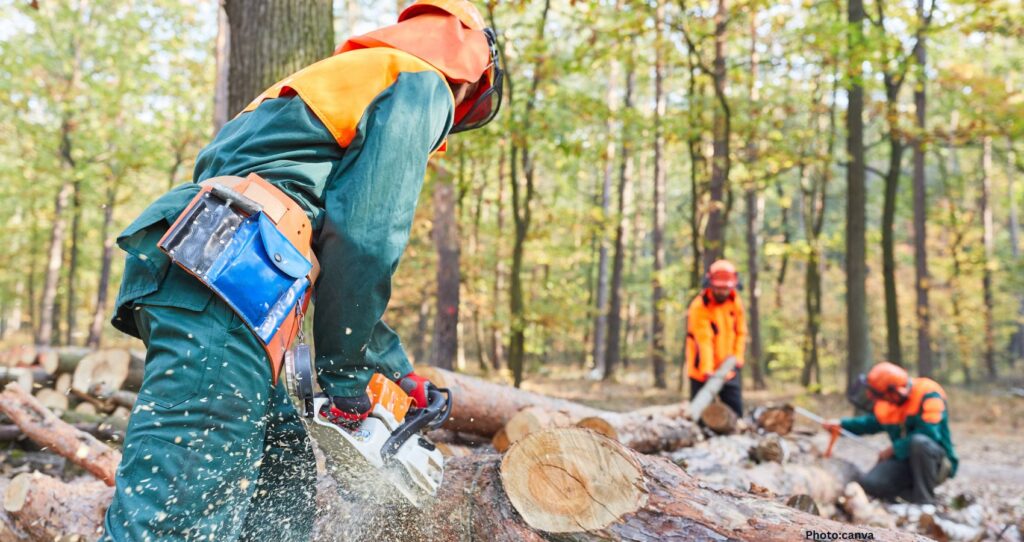 How Californians Can Contribute to Fire Prevention Efforts