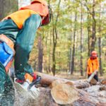 Featured & Cover How Californians Can Contribute to Fire Prevention Efforts