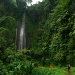 Featured & Cover Human Adaptations to Extreme Environments Explored in Evolutionary Biology