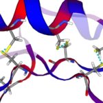 Featured & Cover RFK Jr Advocates for Increased Access to Peptides Amid Doctor Concerns