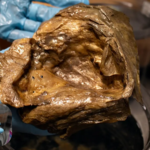 Featured & Cover Scientists Identify Mysterious 'Golden Orb' Found Deep Underwater in 2023