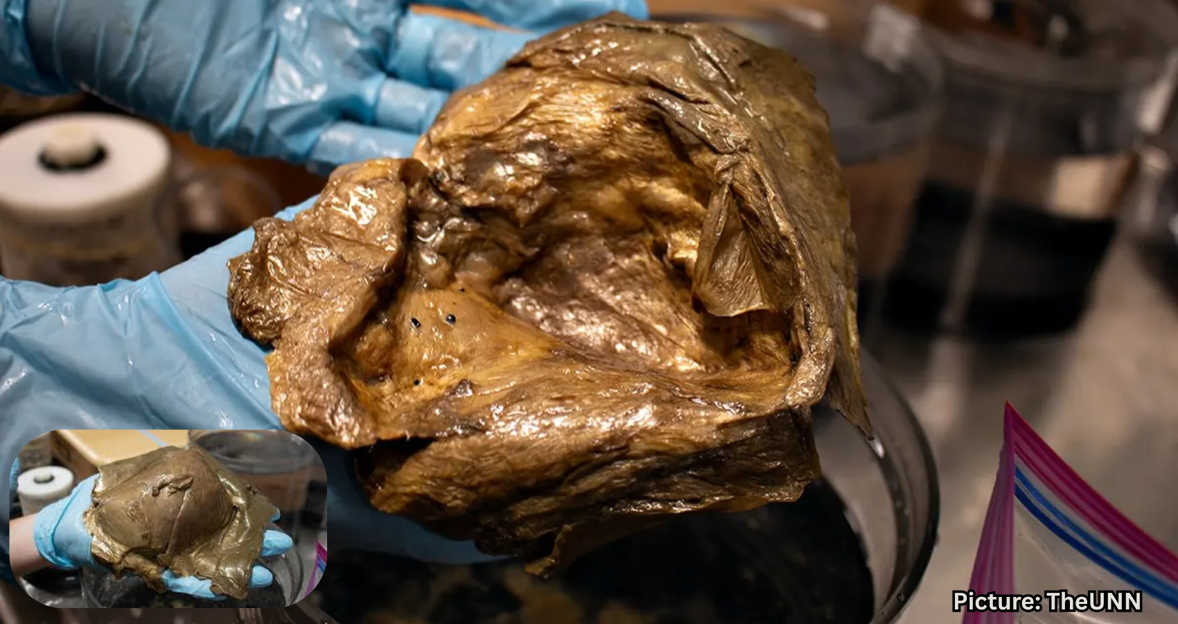 Featured & Cover Scientists Identify Mysterious 'Golden Orb' Found Deep Underwater in 2023