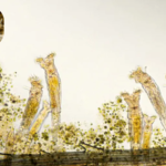 Featured & Cover Scientists Revive 24 000 Year Old 'Zombie Worm' from Arctic Ice