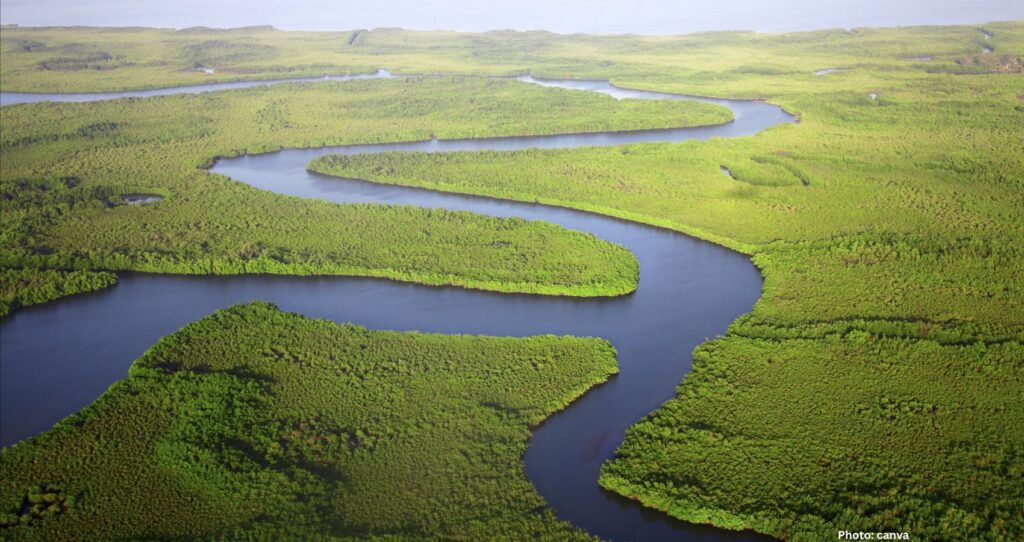 Study Finds Accelerated Subsidence in Major River Deltas Threatens Millions