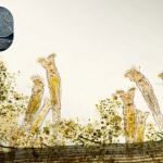 Featured & Cover Scientists Revive 24 000 Year Old 'Zombie Worm' from Arctic Ice