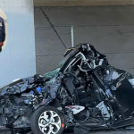 GNN ICE Arrests Indian National After California Hit and Run Incident