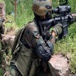 Hamza Burhan Killed in Pakistan Connection to Unknown Gunmen Investigated