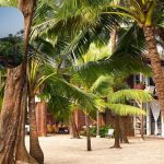 Featured & Cover A Unique Indian American Home Located Between Two Shores