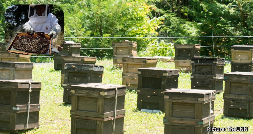 AI-Driven Robotic Beehives Installed in Florida Community to Combat Colony Collapse