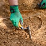Featured & Cover Archaeological Dig at Bunker Hill Site Reveals Revolutionary War Artifacts