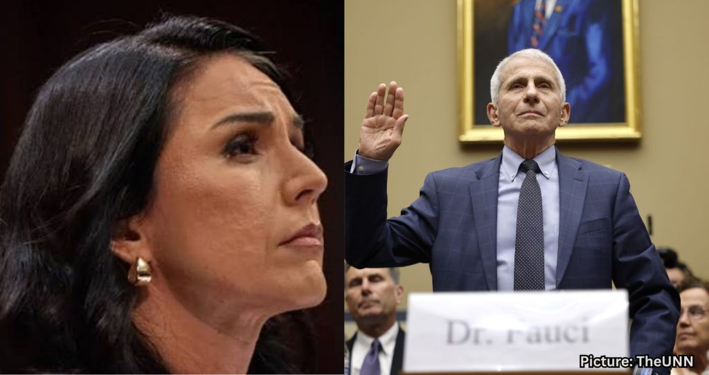 Gabbard Unveils New COVID-19 Documents Related to Fauci