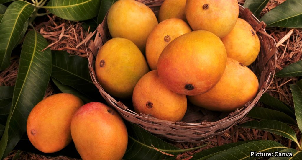 Indian-American Community Reacts to Controversy Over Indian Mangoes