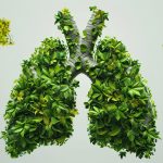 Featured & Cover Leafy Greens May Offer Lung Protection New Study Suggests