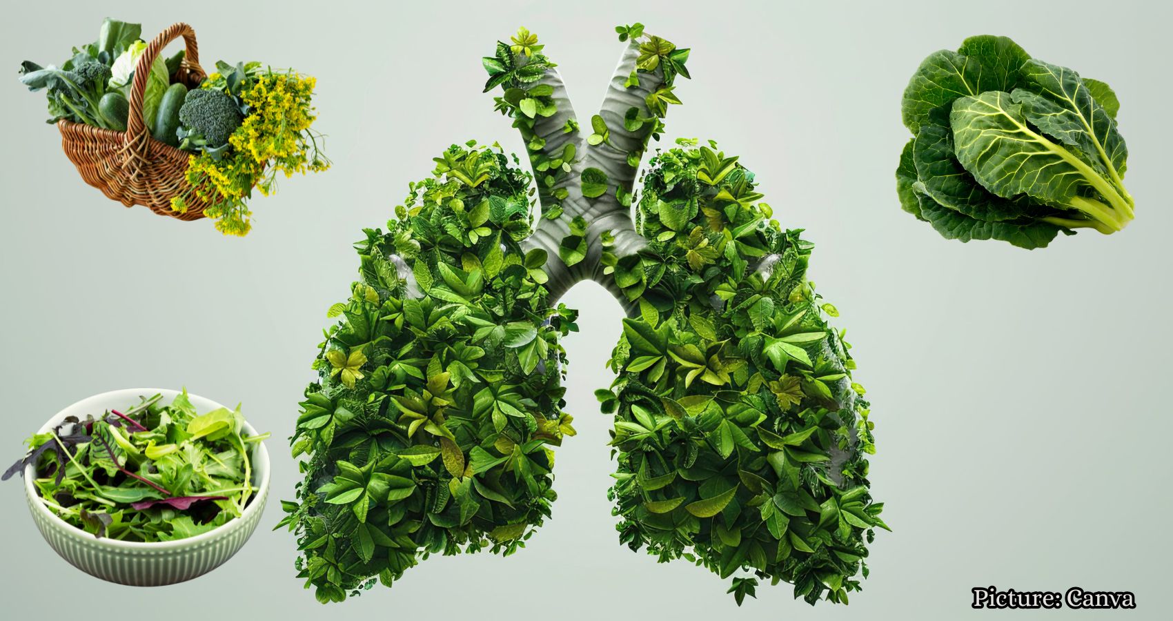 Featured & Cover Leafy Greens May Offer Lung Protection New Study Suggests