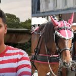 Featured & Cover Mamdani Advocates for Ending Horse Carriages Following Punjab Teen's Death