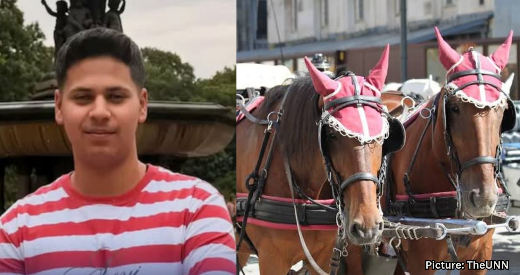 Featured & Cover Mamdani Advocates for Ending Horse Carriages Following Punjab Teen's Death