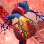 Featured & Cover National Medical Organizations Update Cholesterol Guidelines for Cardiovascular Health