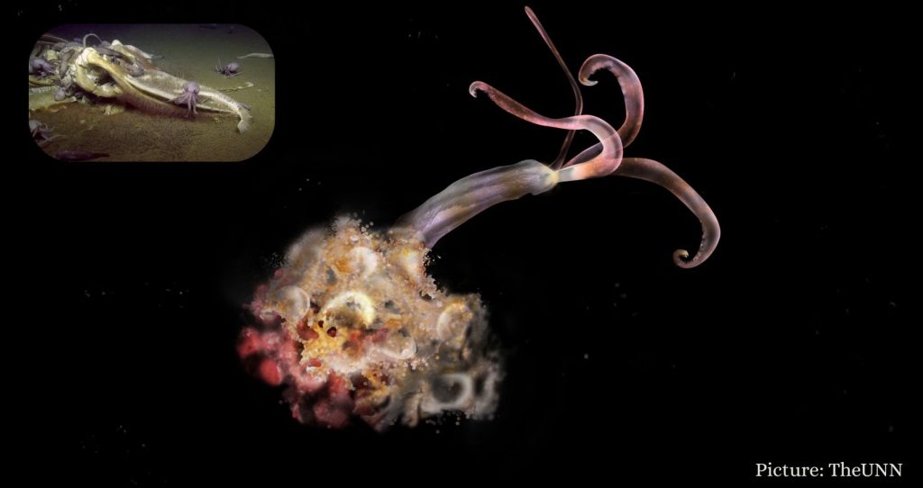 Scientists Revive 24,000-Year-Old ‘Zombie Worm’ from Arctic Ice