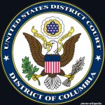Federal Court Blocks Key Aspects of Immigration Appeals Rule