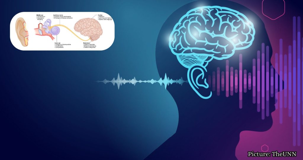 ARPA-H Initiates Program Using Neurotechnology to Address Hearing Loss