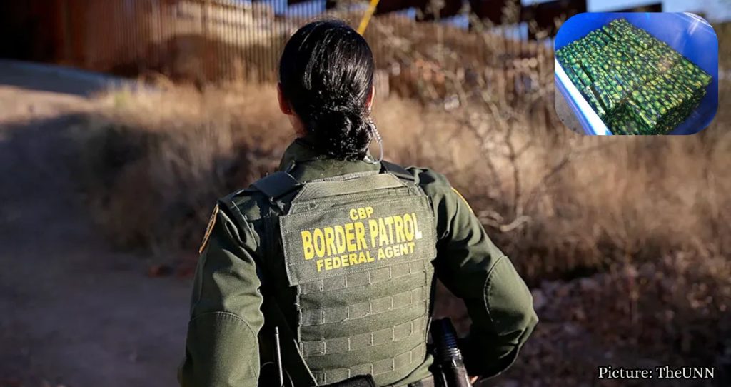 Featured & Cover Border Agents Seize $3 7 Million in Cocaine Disguised as Cucumbers
