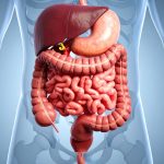 Featured & Cover Exploring the Microbiome Understanding Its Role in Human Health