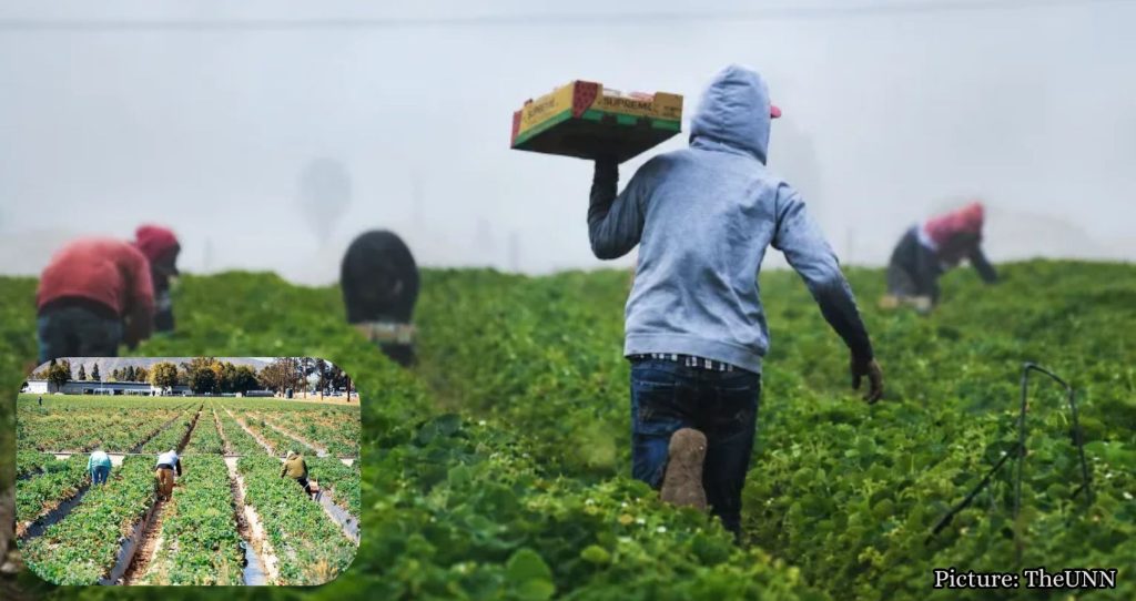 Featured & Cover New Report Highlights Importance of Immigrant Texans in Agriculture