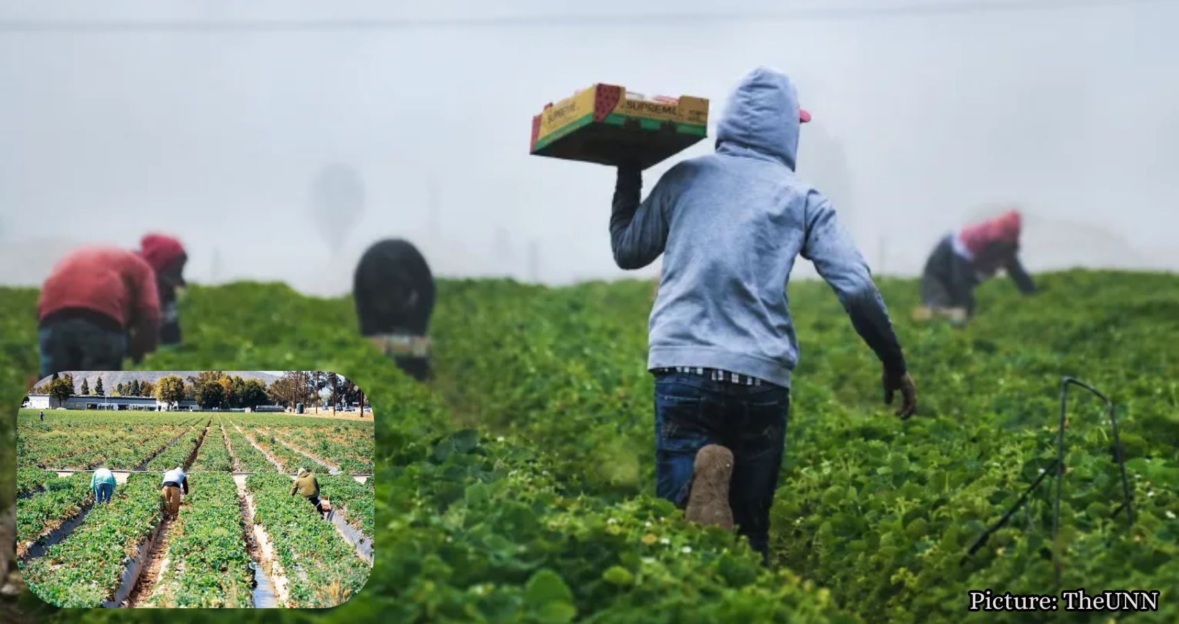 Featured & Cover New Report Highlights Importance of Immigrant Texans in Agriculture