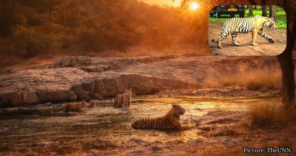 Ranthambore National Park: Exploring Its Diverse Wildlife and Landscapes