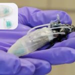 Featured & Cover Rescue Robots of the Future May Resemble Cockroaches in Scuba Suits