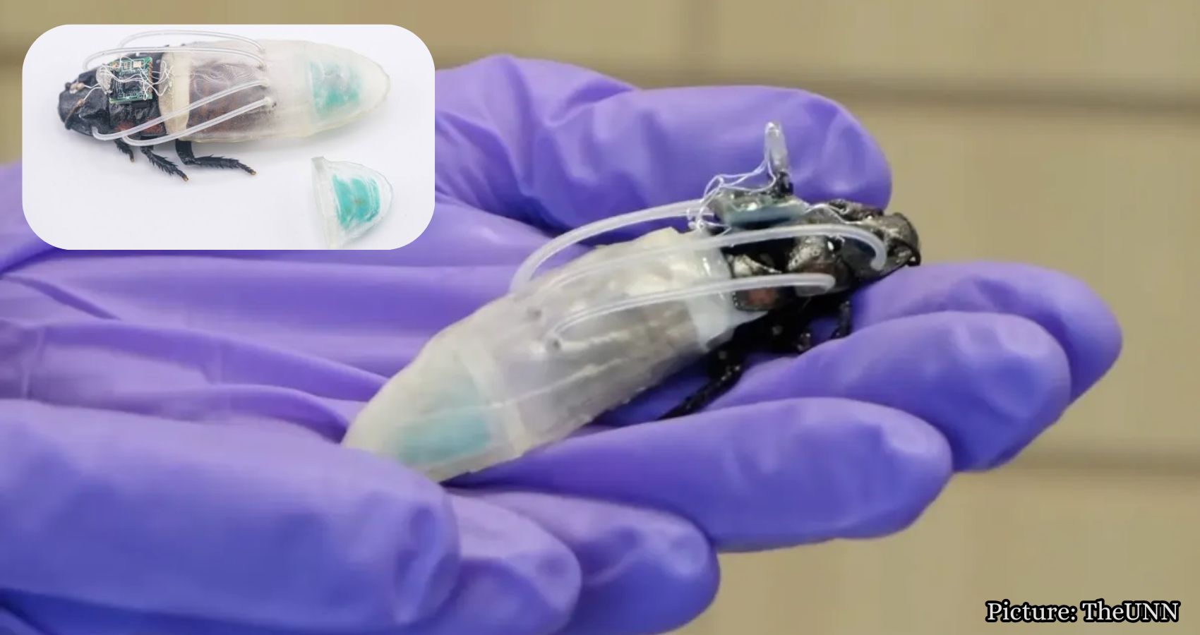 Featured & Cover Rescue Robots of the Future May Resemble Cockroaches in Scuba Suits