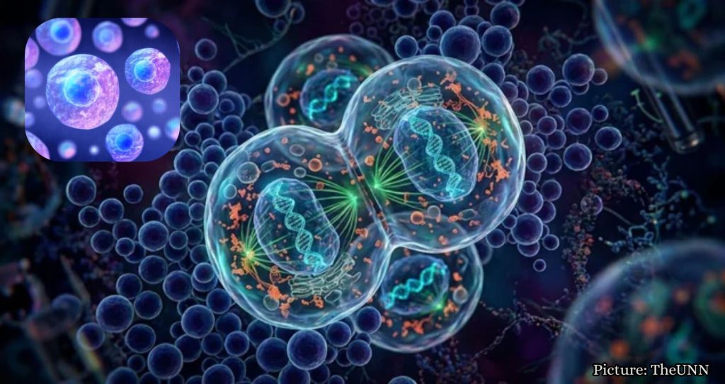 Scientists Build Synthetic Cell, Sparking Concerns Over Artificial Life