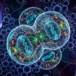 Featured & Cover Scientists Build Synthetic Cell Sparking Concerns Over Artificial Lif