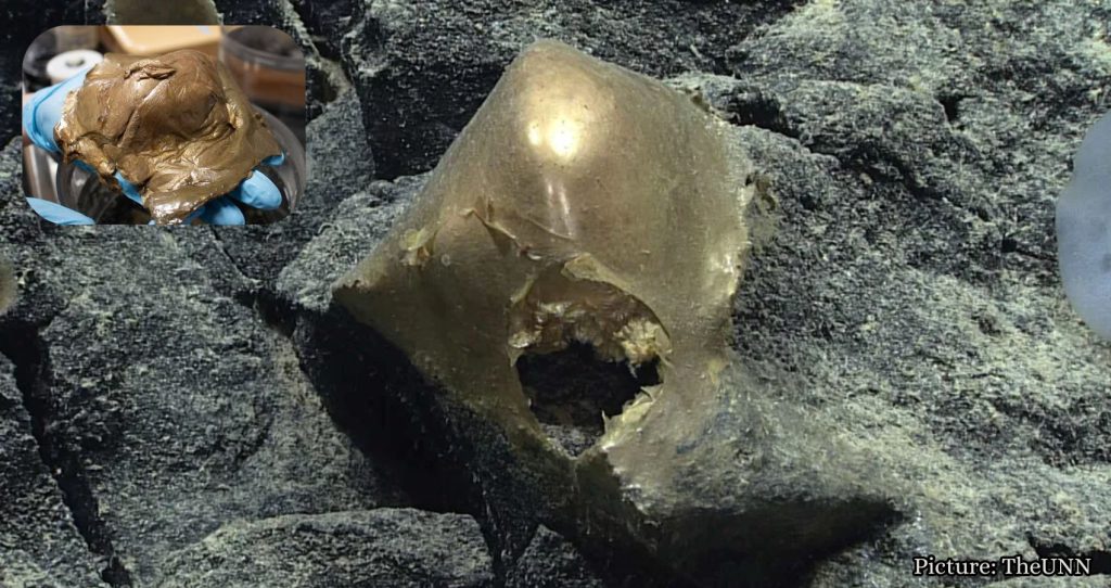 Scientists Identify Mysterious ‘Golden Orb’ Found Deep Underwater in 2023