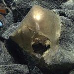 Featured & Cover Scientists Identify Mysterious 'Golden Orb' Found Deep Underwater in 2023