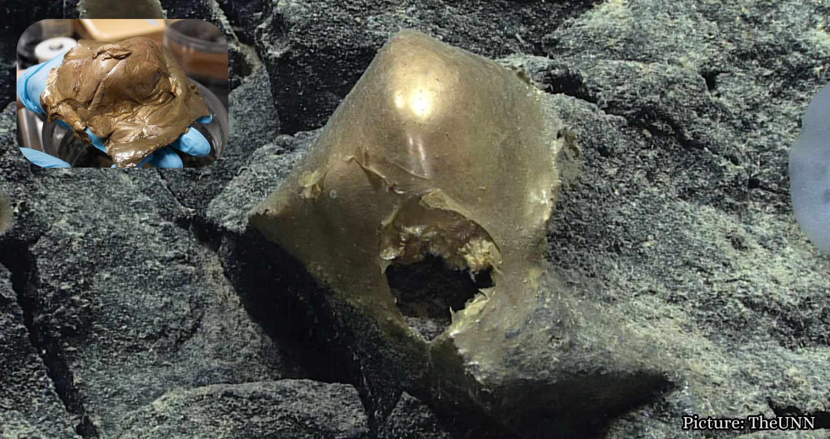 Featured & Cover Scientists Identify Mysterious 'Golden Orb' Found Deep Underwater in 2023