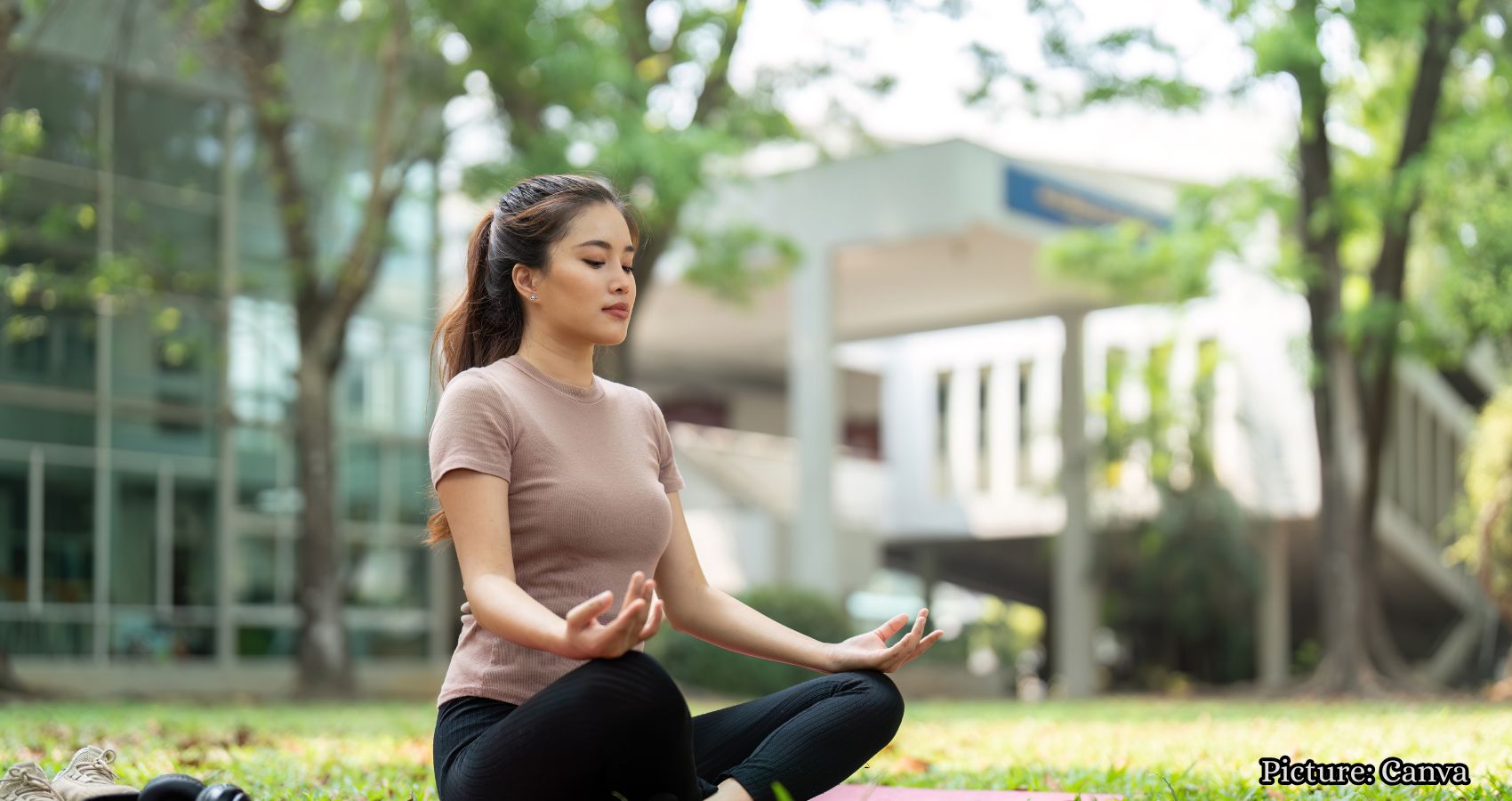 Featured & Cover The Role of Ahimsa in Enhancing Mental Wellness Among Indian Americans (1)