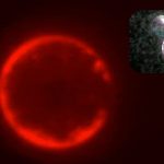 Featured & Cover University of Minnesota Researchers Create Synthetic Cell Structure Named SpudCell