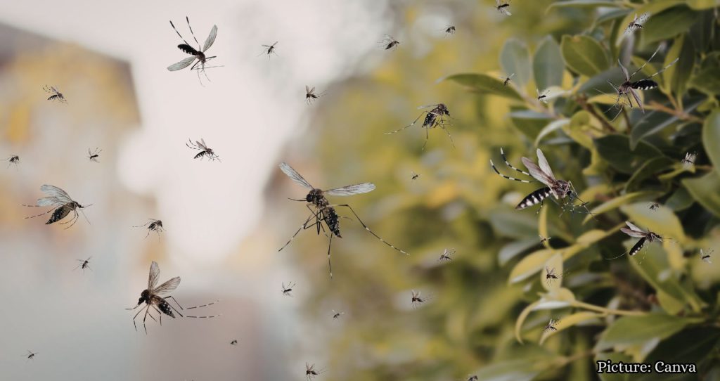 West Nile Virus Detected in Southern State; Health Officials Warn Residents