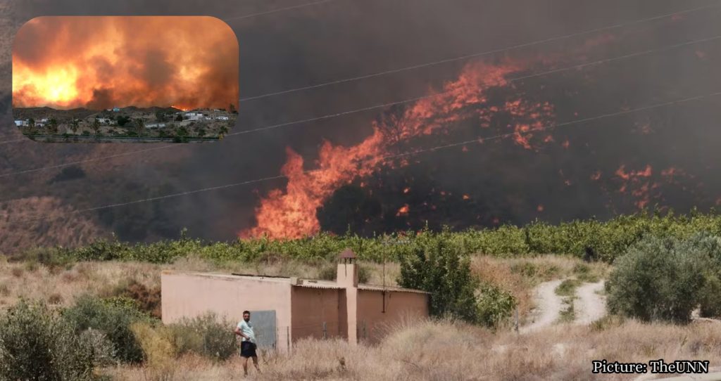 Wildfire in Almería Claims 11 Lives, Leaves Several Missing