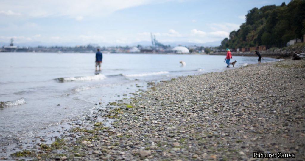 Beachgoers Cautioned After ‘Flesh-Eating’ Bacteria Claims Five Lives