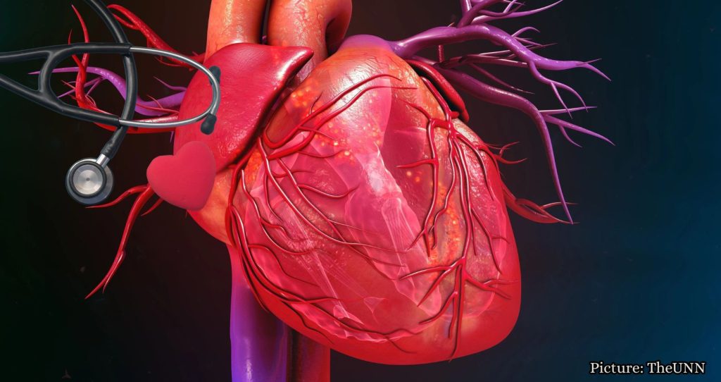 Chinese Clinical Trial Shows Promise for Stem Cell Therapy in Heart Failure