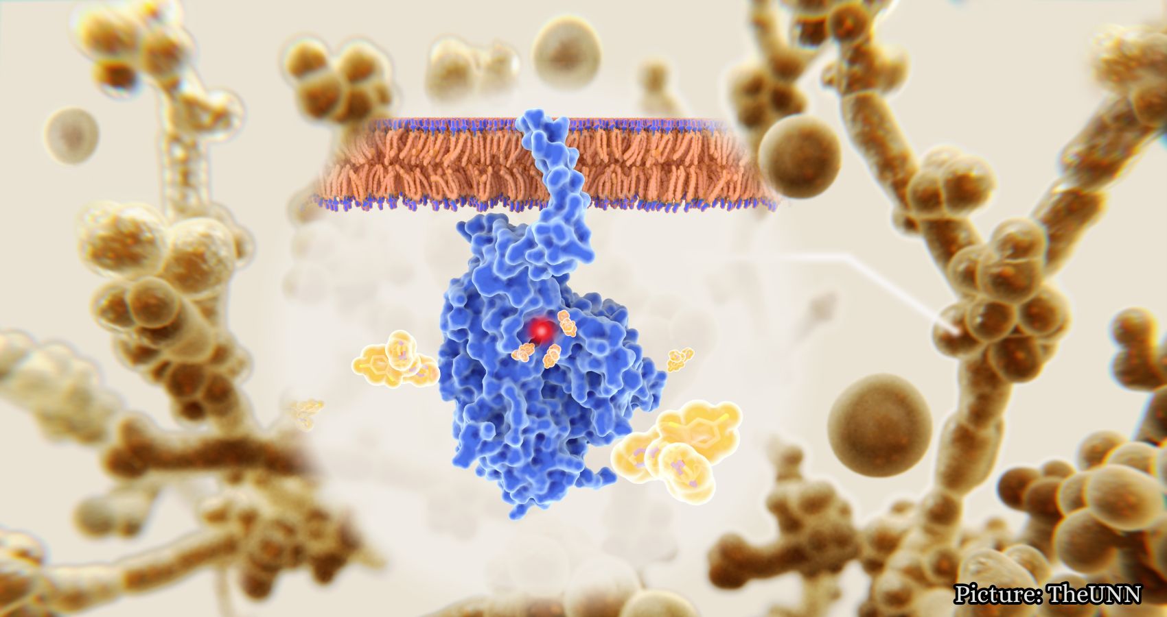 Featured & Cover Drug Resistant Fungus