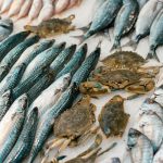 Featured & Cover India Achieves Second Place in Global Fish Production Rankings