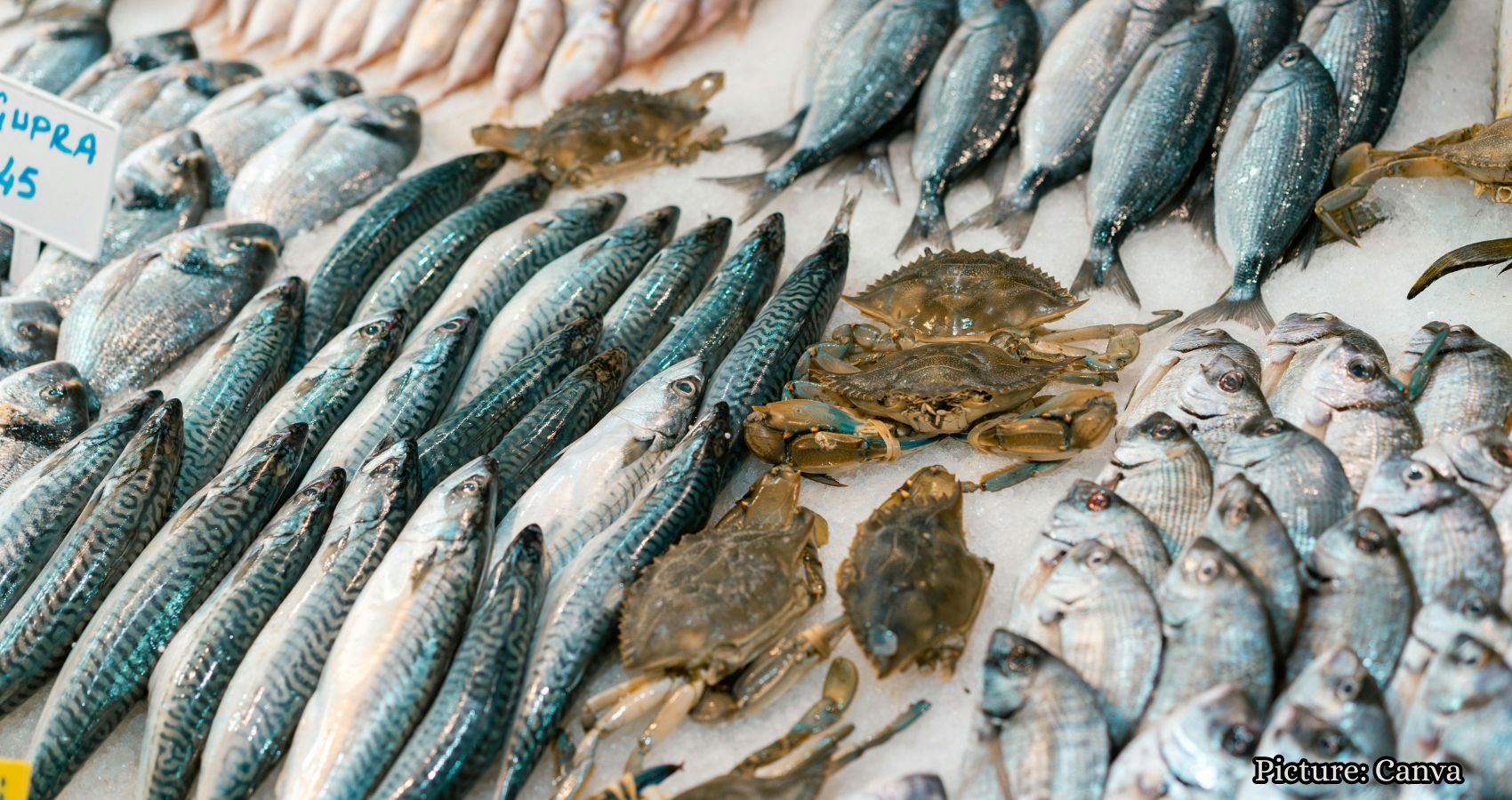 Featured & Cover India Achieves Second Place in Global Fish Production Rankings