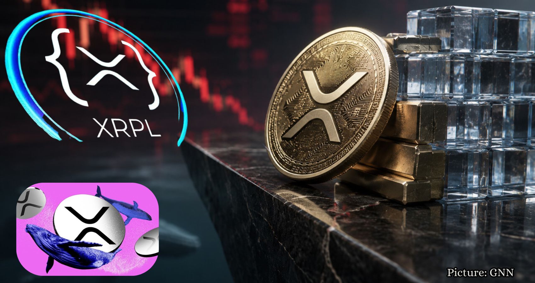 Featured & Cover XRP Price Rises