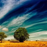 This Summ Heat Is Unremarkable But El Niño May Change That