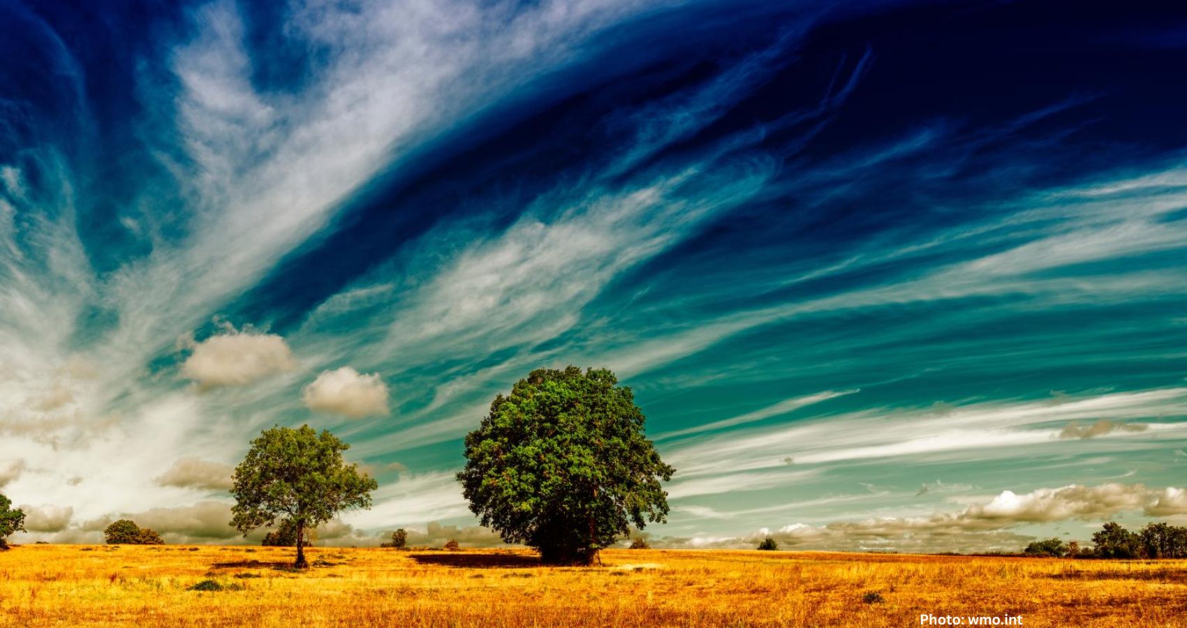 This Summ Heat Is Unremarkable But El Niño May Change That
