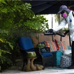 Dengue Fever Outbreak Declares States